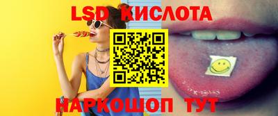 Альфа ПВП Новодвинск