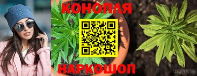 Альфа ПВП Новодвинск