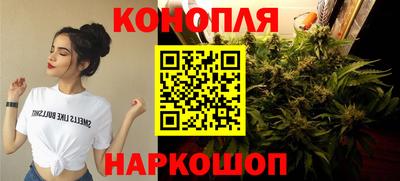 Альфа ПВП Новодвинск