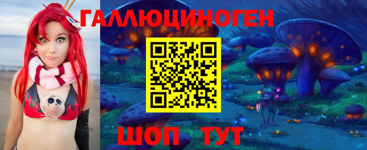 закладки  Псилоцибиновые грибы Magic Shrooms  Вход с VPN  Усть-Илимск 